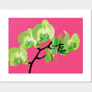 Orchid, green Posters and Art